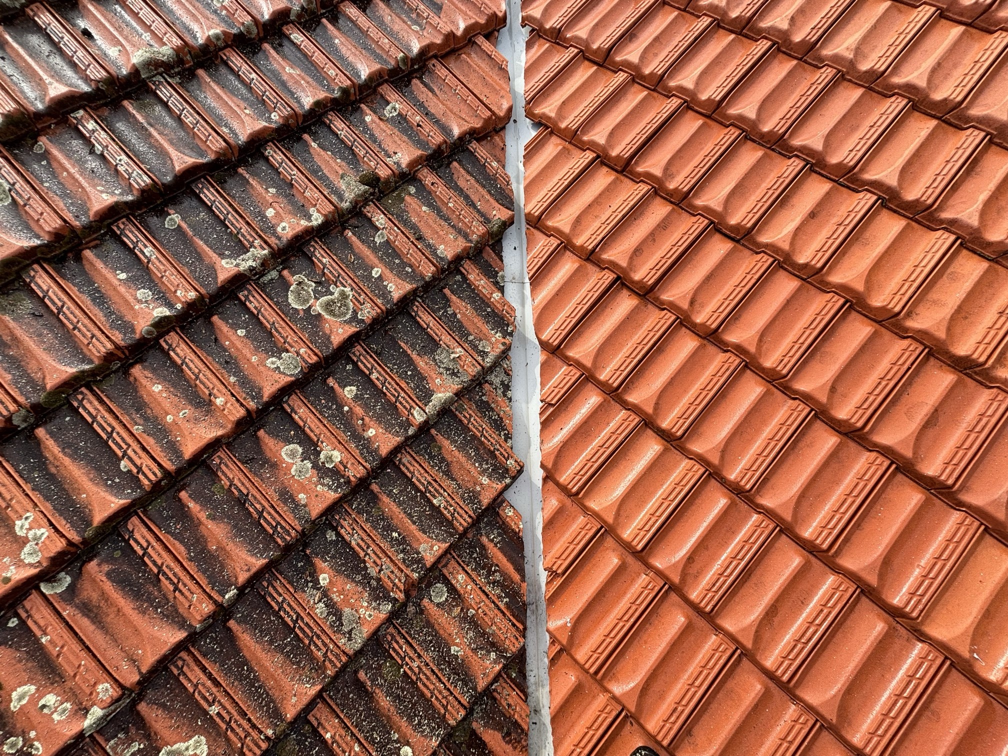 Roof during pressure cleaning