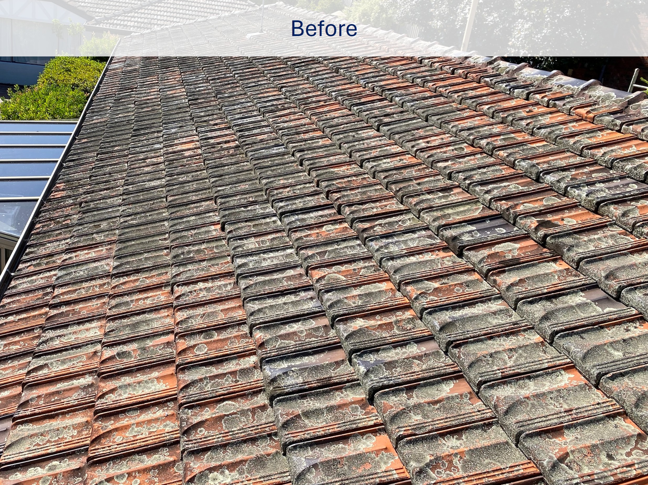 Roof before pressure cleaning