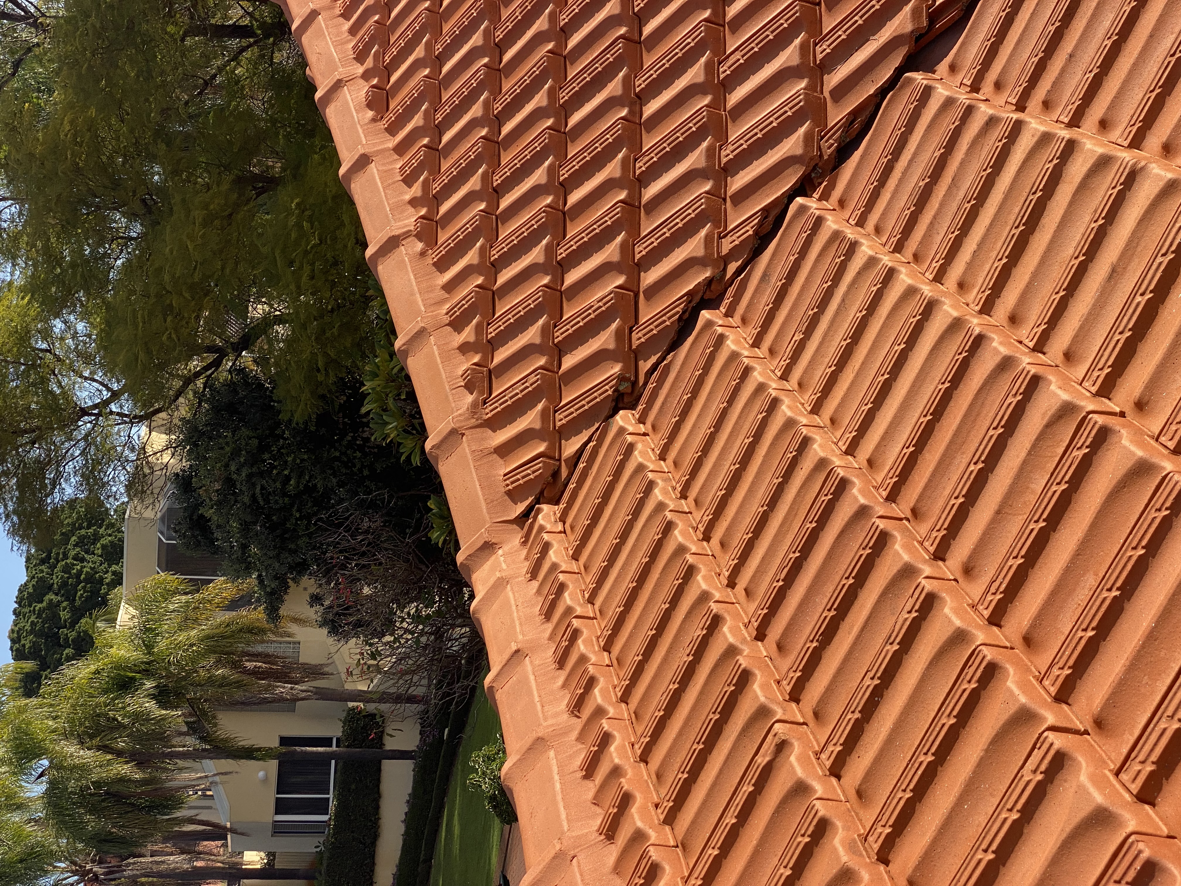 Pressure cleaned roof