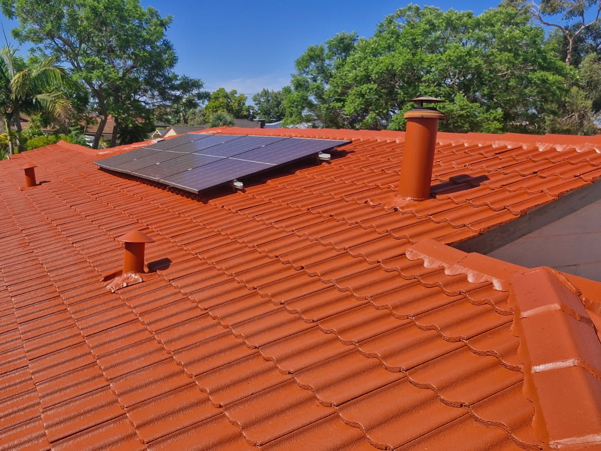 Roof after painting